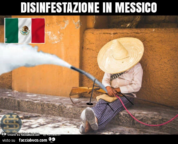 Disinfestazione in messico