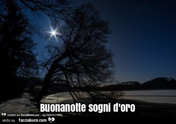 Buonanotte Sogni D Oro Facciabuco Com