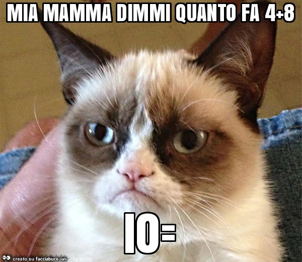Mia mamma dimmi quanto fa 4+8 io=