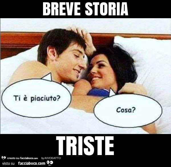 Breve storia triste