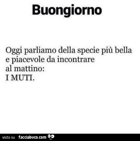 Buongiorno oggi parliamo della specie più bella e piacevole da incontrare al mattino: i muti