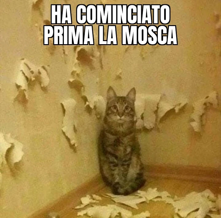 Ha cominciato prima la mosca