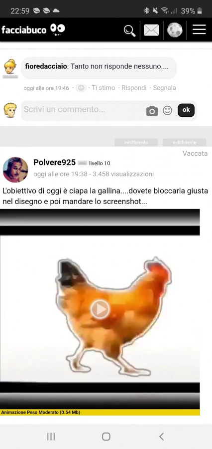 Vaccata