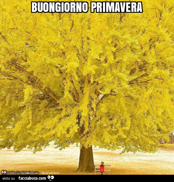 Buongiorno primavera