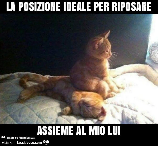 La posizione ideale per riposare assieme al mio lui