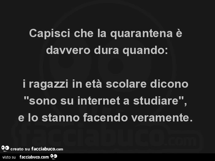 Capisci che la quarantena è davvero dura quando: i ragazzi in età scolare dicono "sono su internet a studiare", e lo stanno facendo veramente