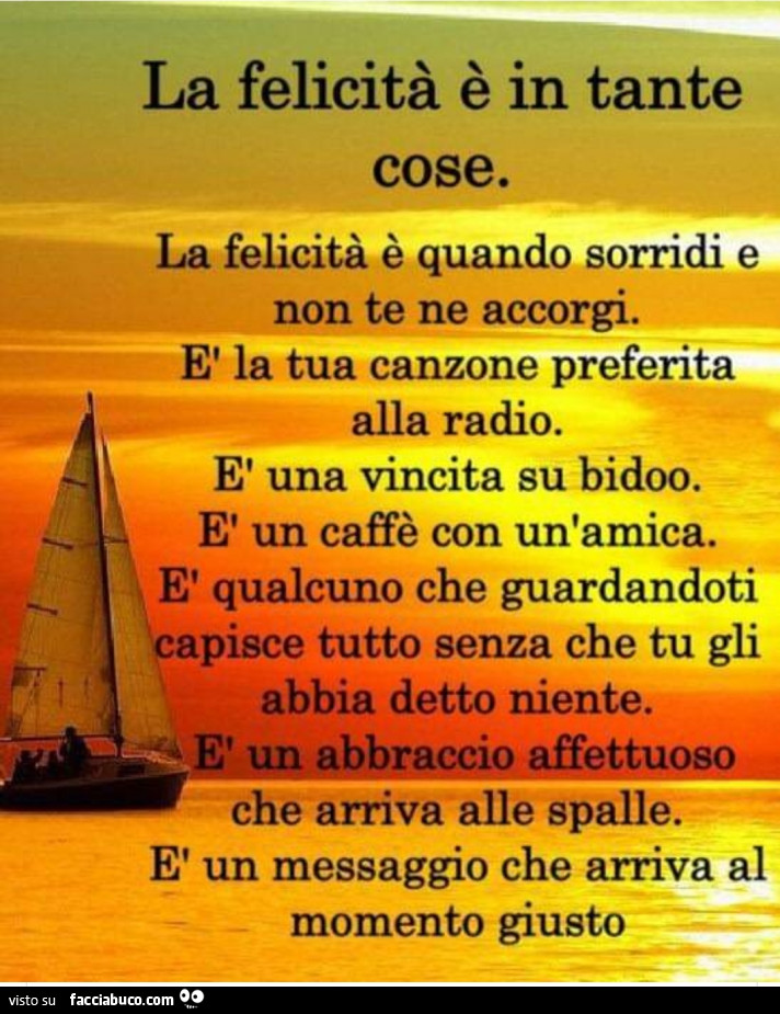 La Felicita E In Tante Cose La Felicita E Quando Sorridi E Non Te Ne Accorgi Facciabuco Com