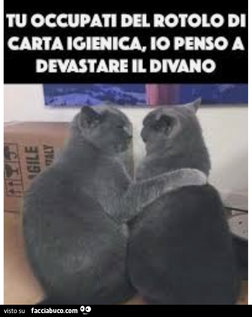 Vaccata