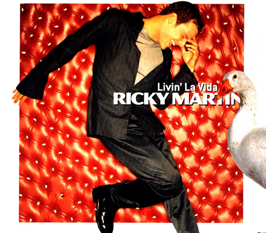 Ricky Martin