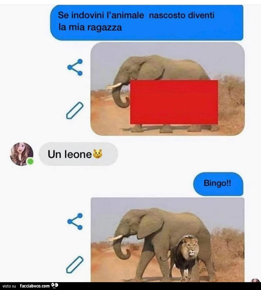 Se indovini l'animale nascosto diventi la mia ragazza